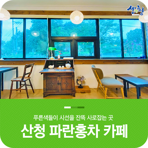 파란홍차 이미지