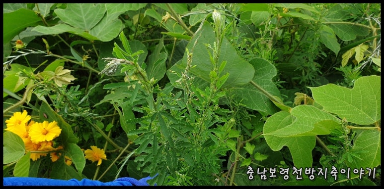 유정식품 이미지