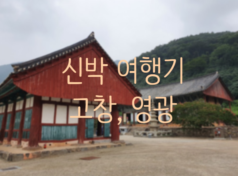 영광풍천장어 이미지