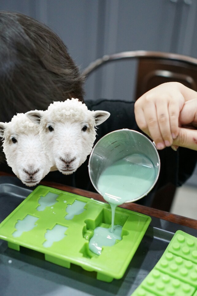 동두천포천키즈 이미지
