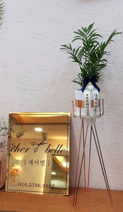 셰어벨 이미지
