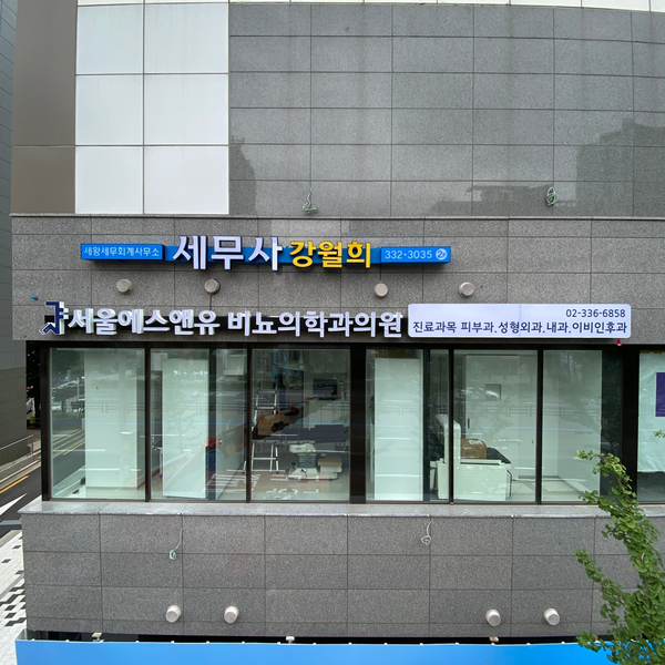 서울스카시 이미지