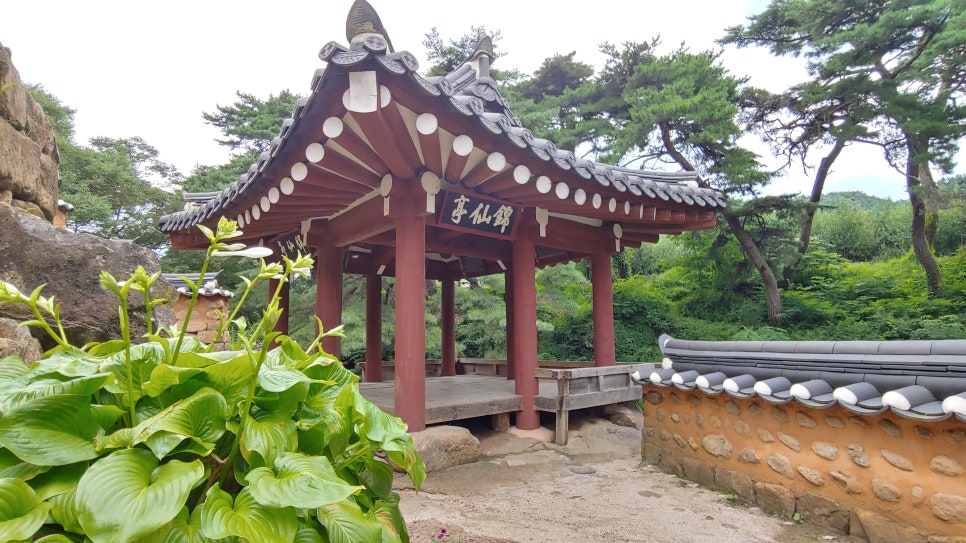 풍기장생이 이미지