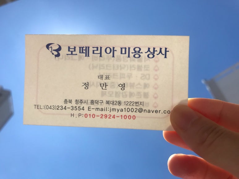 보떼리아 이미지