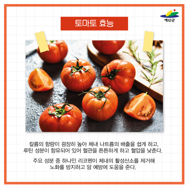 레드토마토 이미지