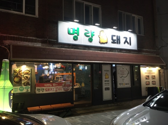 명량돼지 이미지