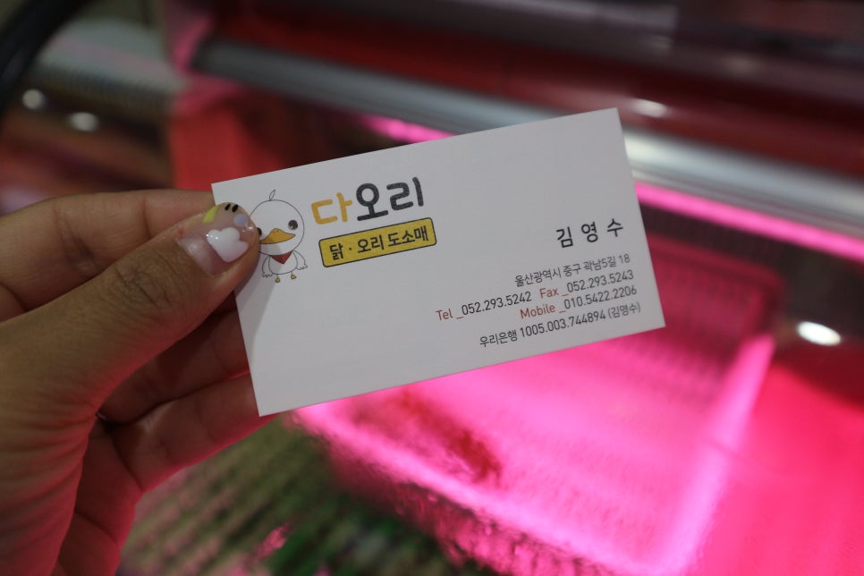 우리오리다오리 이미지