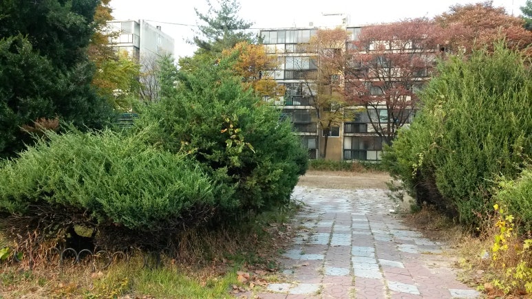 대창세탁소 이미지
