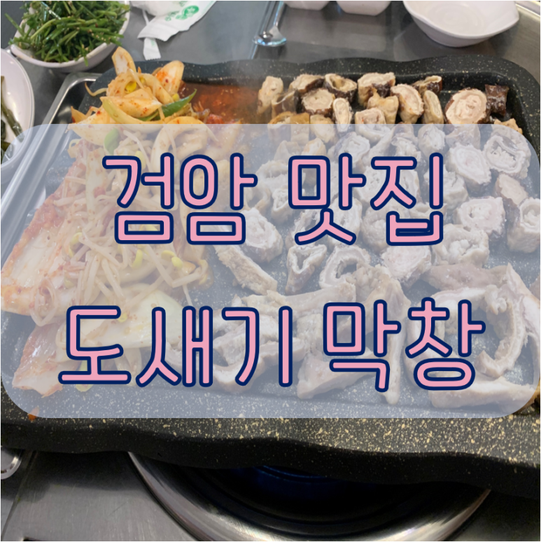 도새기막창 이미지