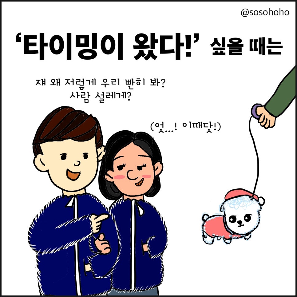 소소호호 이미지
