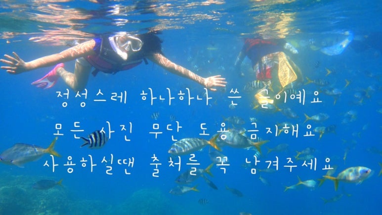 윤영식당 이미지