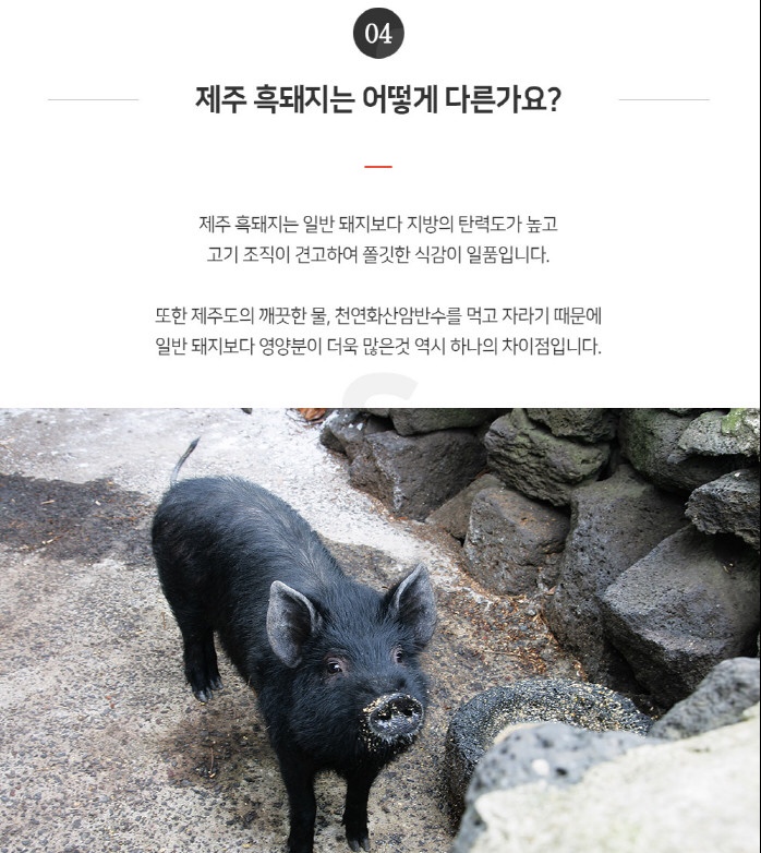 제주흑돼지 이미지