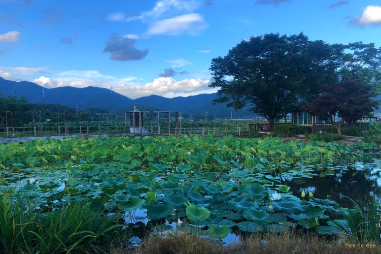 도화지(dohwaji) 이미지