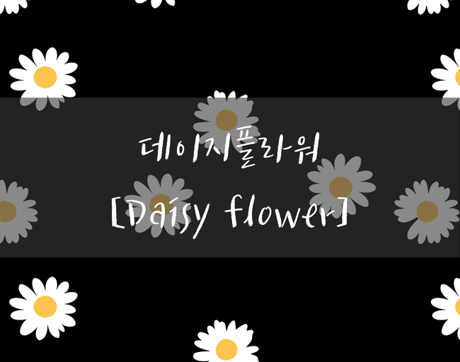 소잉데이지 이미지