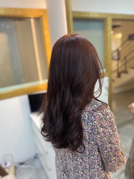 셰어벨 이미지