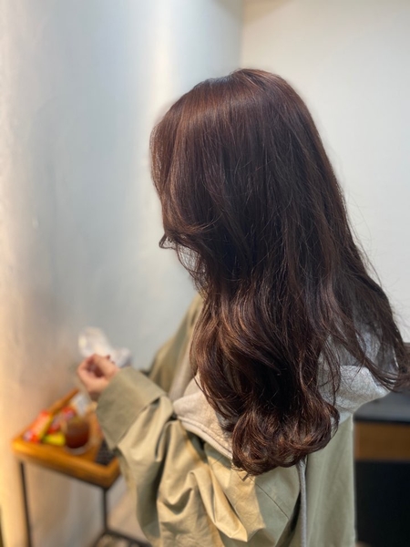 셰어벨 이미지