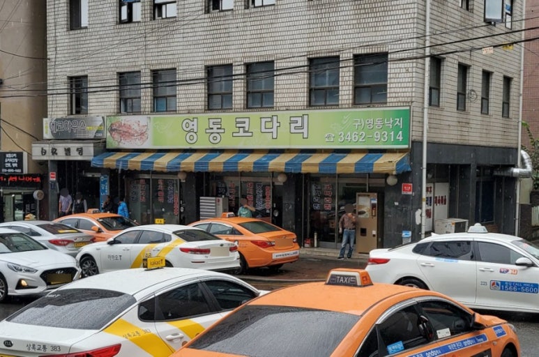 영동코다리 이미지
