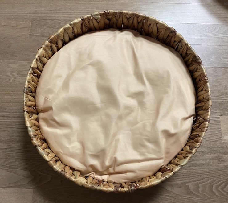 뽀데이 이미지