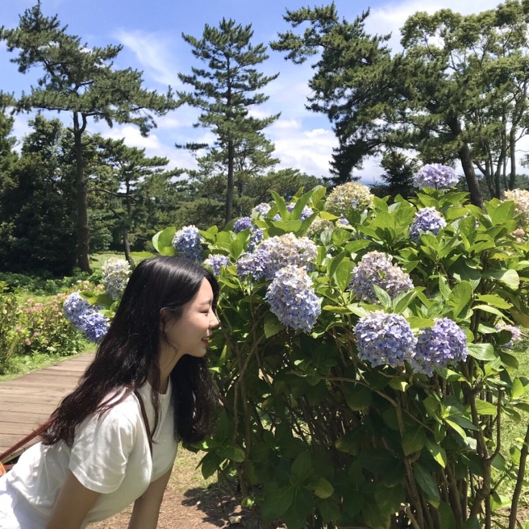 상귀리아 이미지
