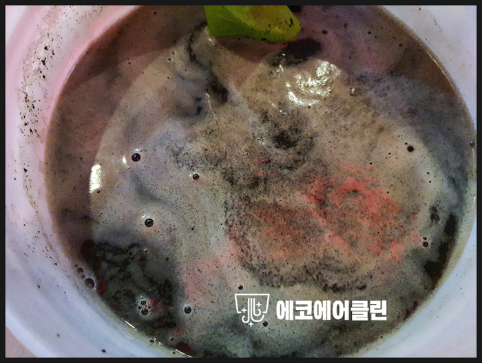 빵빵노래연습장 이미지