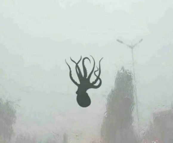 제라헌 이미지