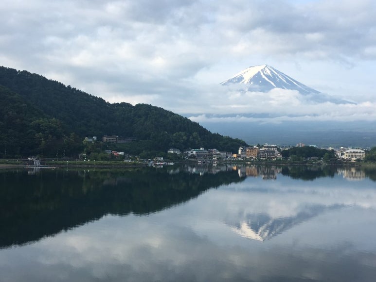 (주)레오팔레스 이미지