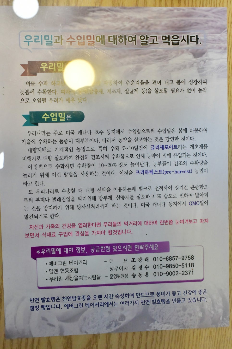 에버그린베이커리 이미지