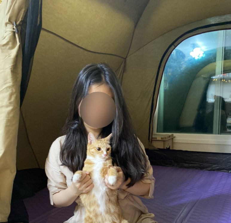 JY기획 이미지
