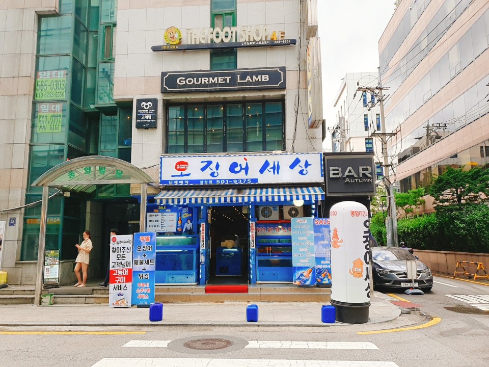 오징어세상 이미지