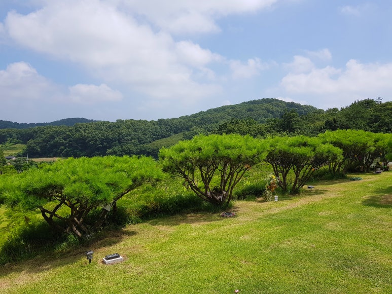 파주수목장 이미지