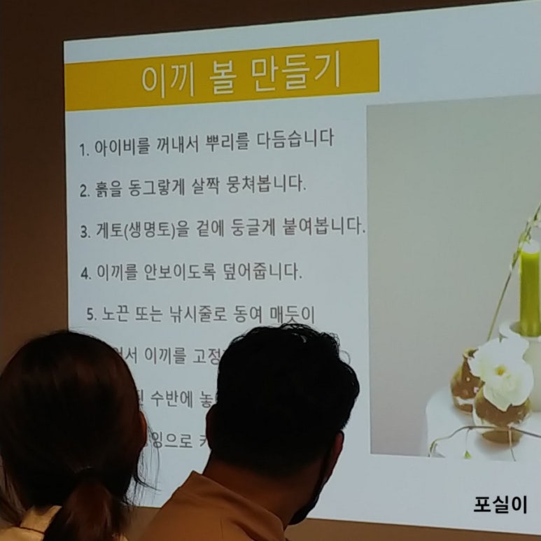이끼마루 이미지