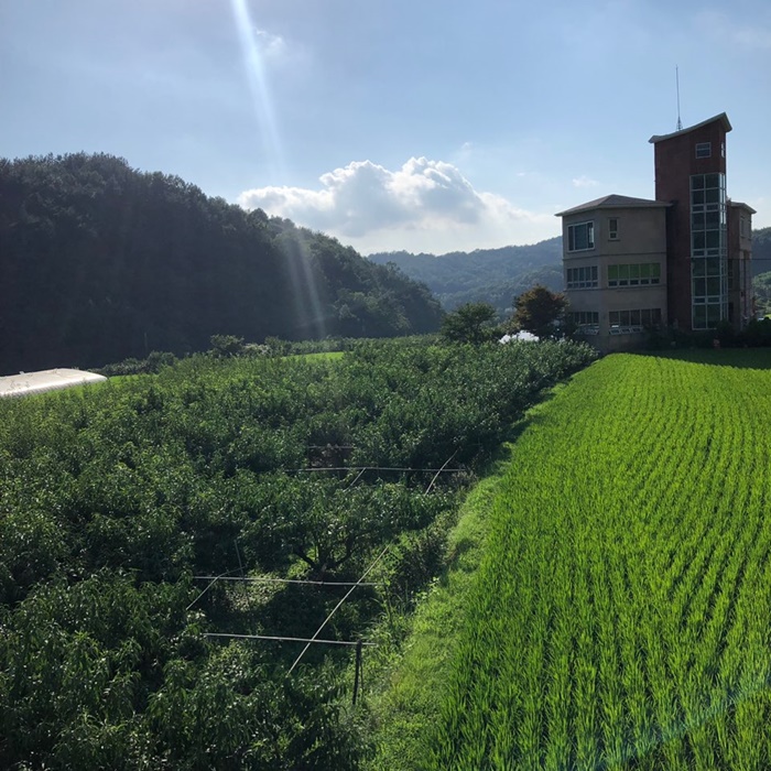 진주1987 이미지