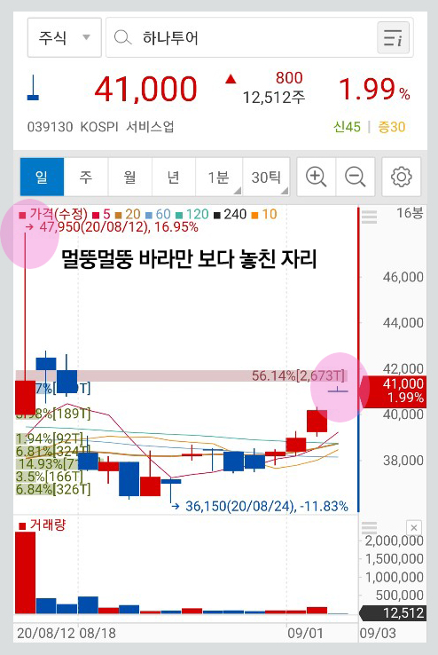엠에스투어 이미지