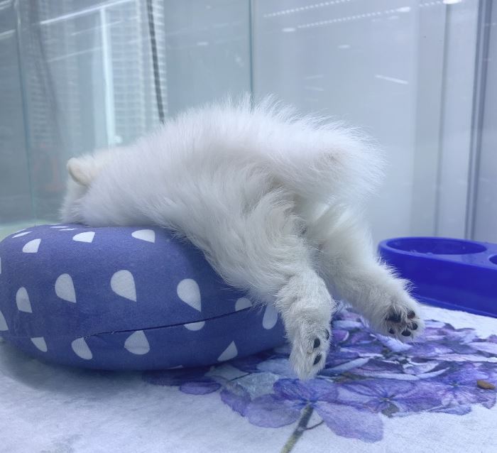 멍리단길 이미지