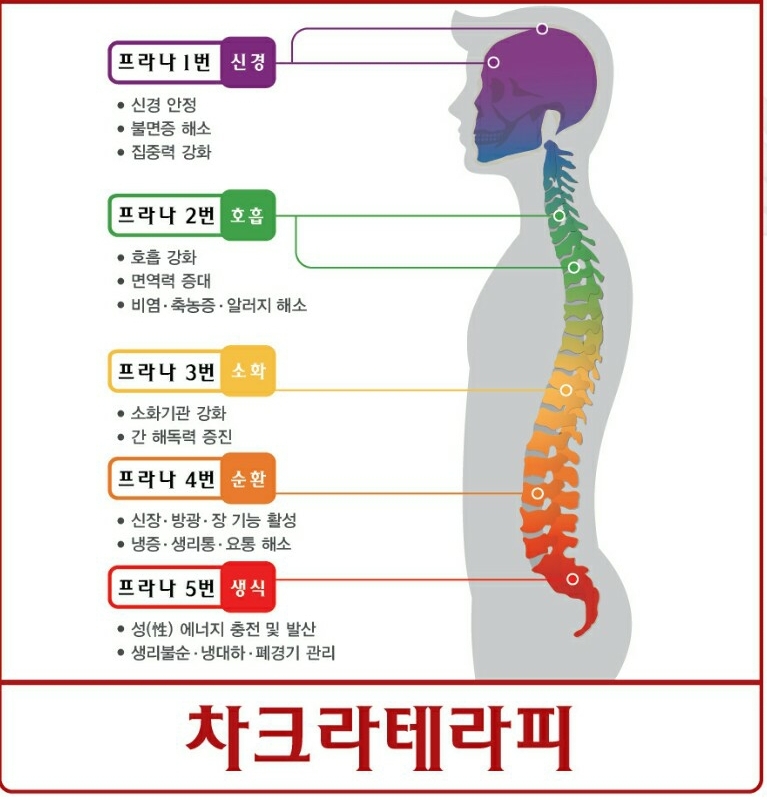 라보떼 이미지