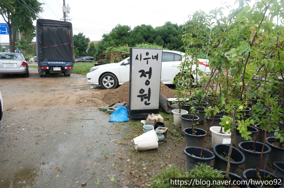 부광주유소 원당점 이미지