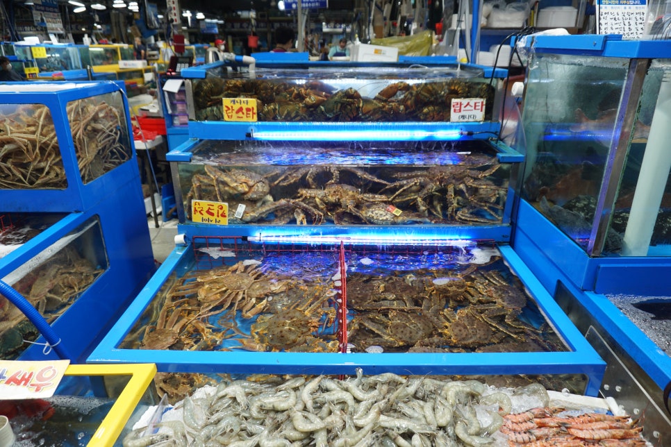 금정수산 이미지