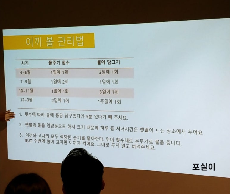 이끼마루 이미지
