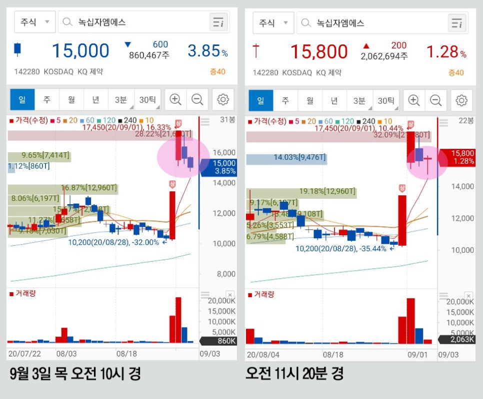 엠에스투어 이미지
