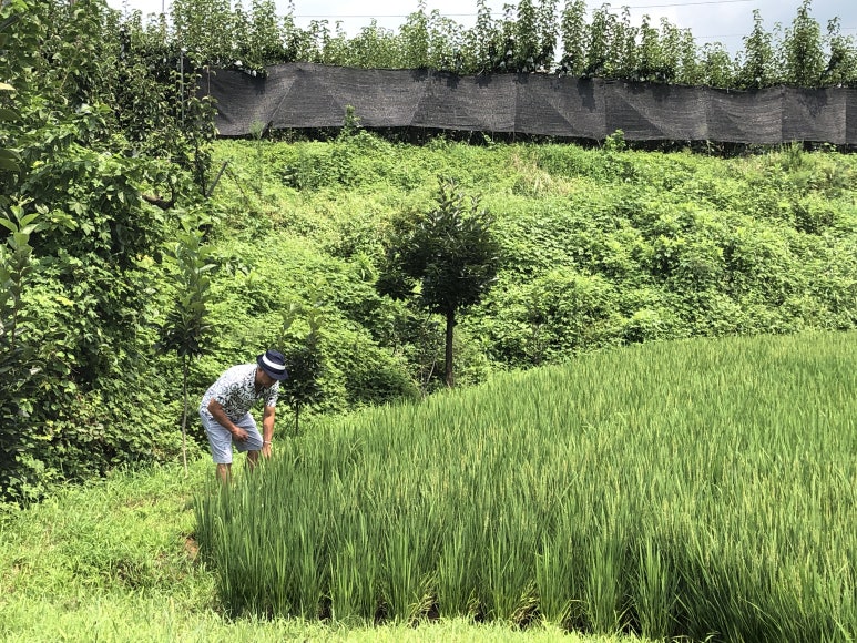 삼백기지떡 이미지
