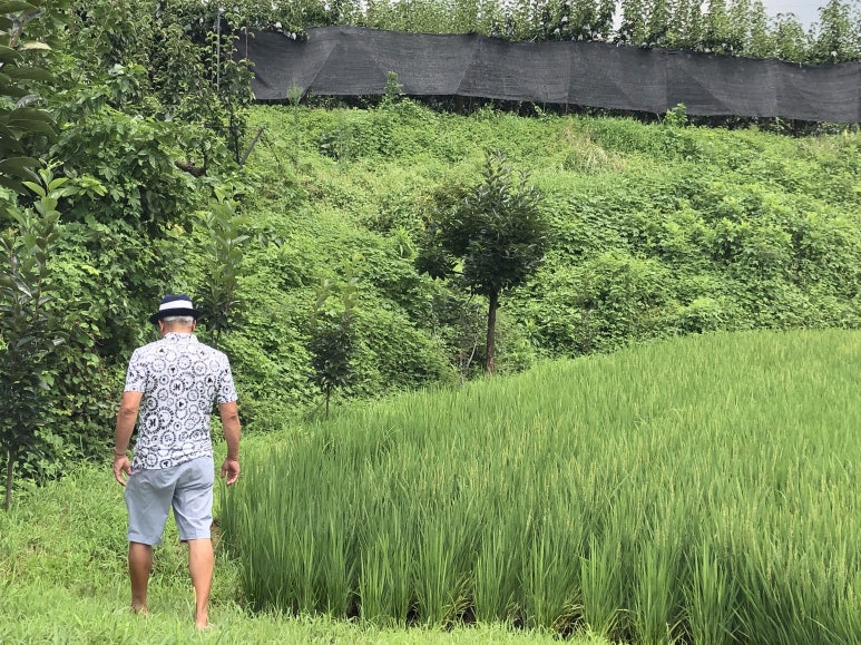 삼백기지떡 이미지