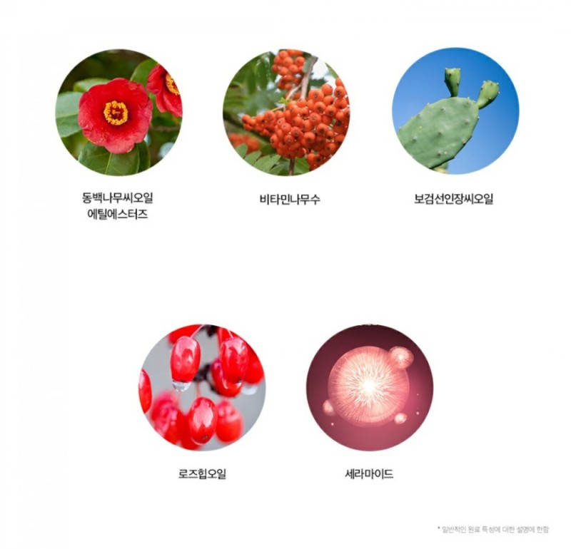 인셀덤 발라또 이미지