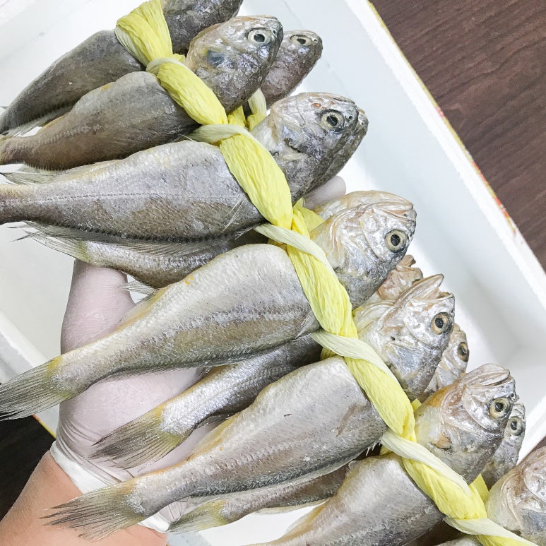 영광팩 이미지