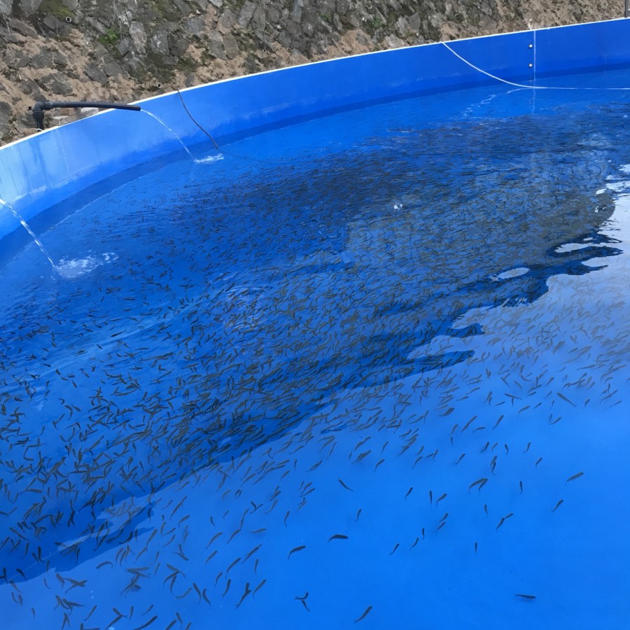 화천수산 이미지
