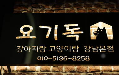 요기요기샵 이미지
