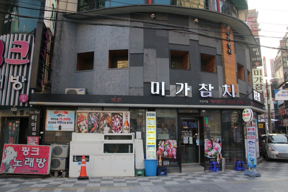 아트미가 사진 4