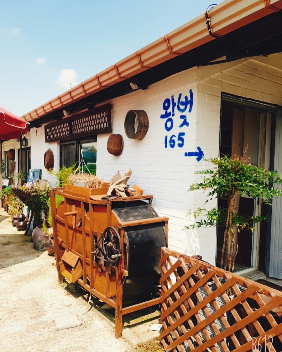 왕벚165 이미지