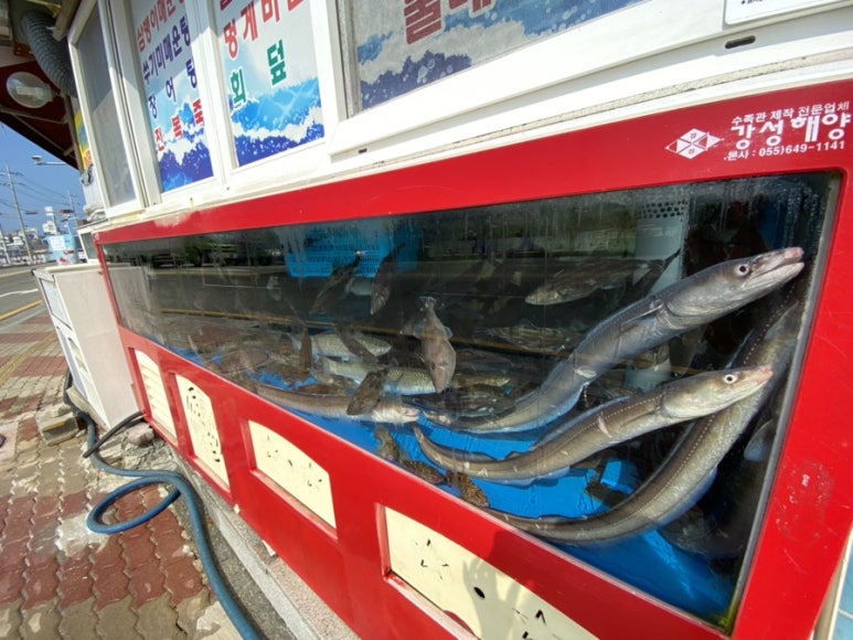 한산도회식당 이미지