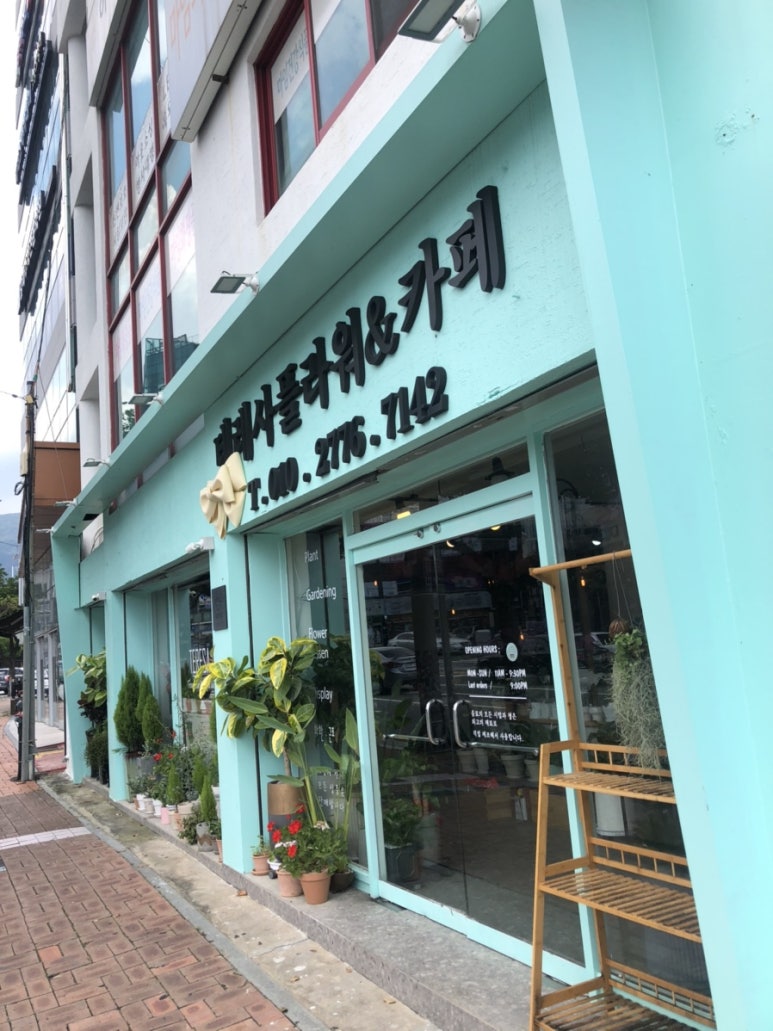 테레사플라워 이미지