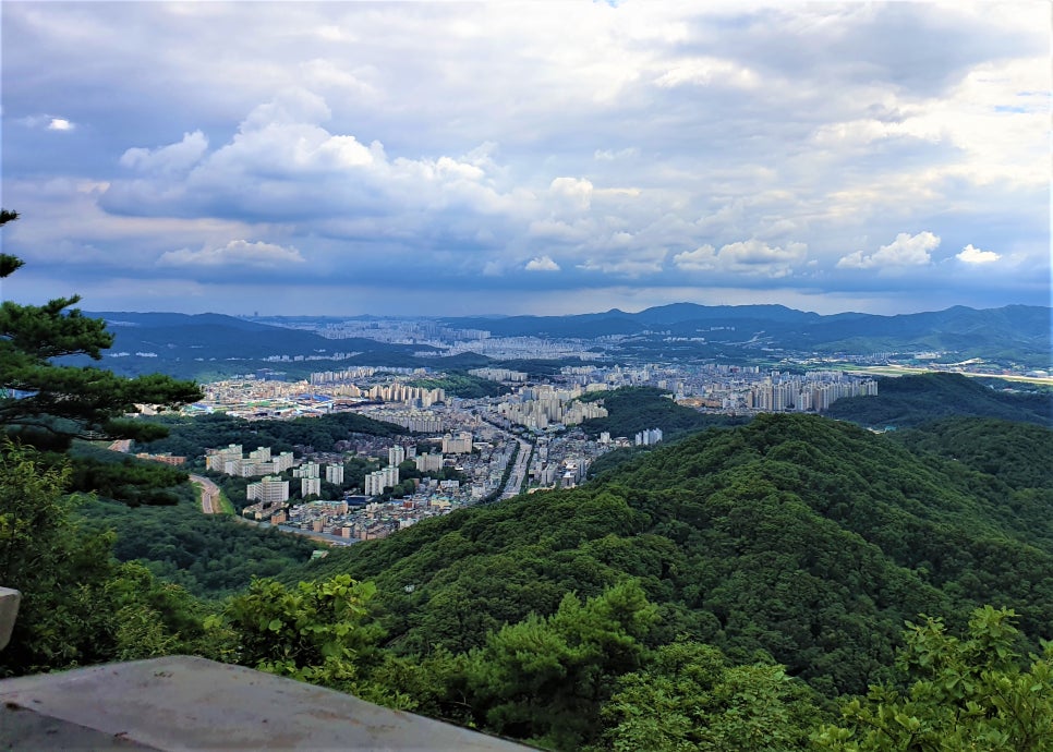 강남행정사합동사무소 이미지